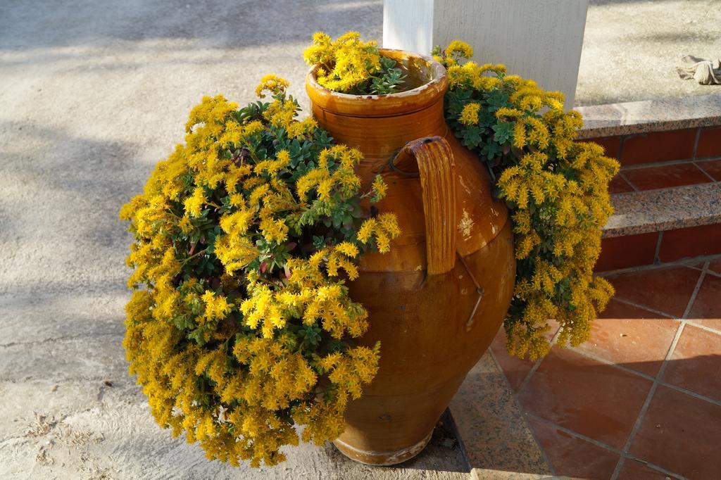 La Casa Del Nonno Bed & Breakfast Alberobello Bagian luar foto