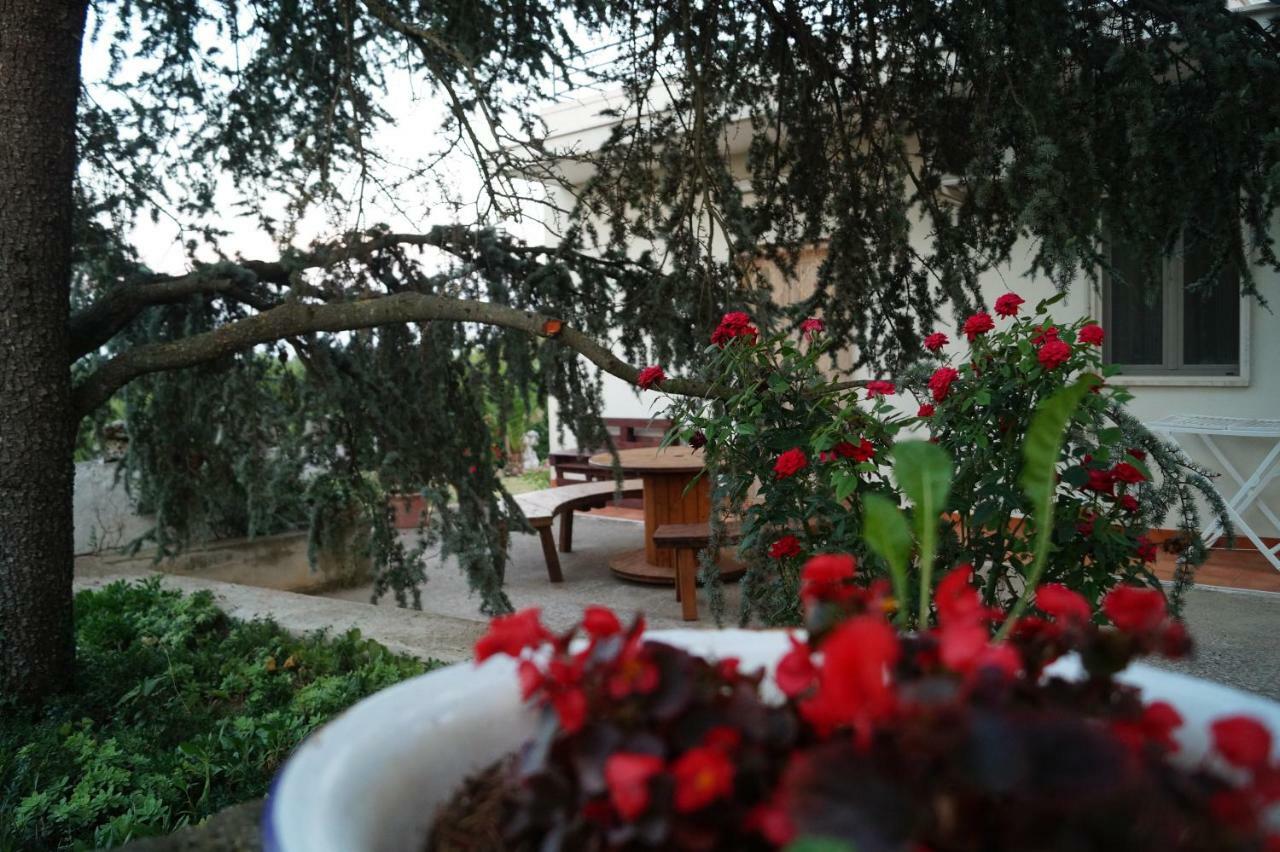 La Casa Del Nonno Bed & Breakfast Alberobello Bagian luar foto